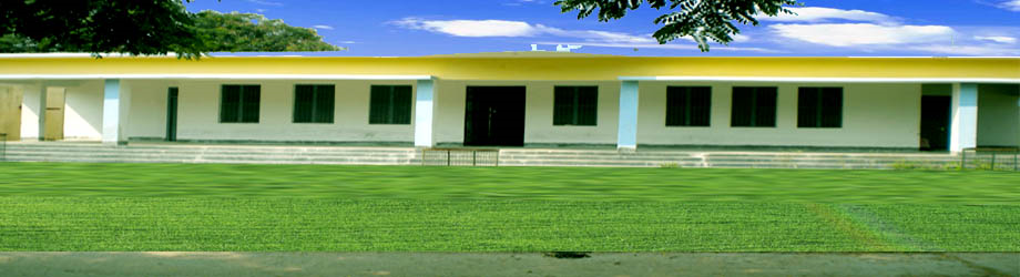 Project Photo